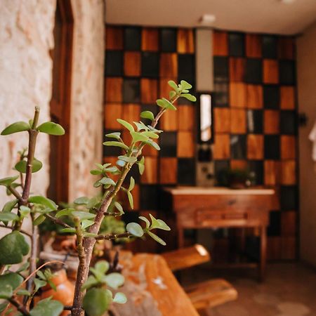 Hotel Casa 88 San Miguel de Allende Ngoại thất bức ảnh