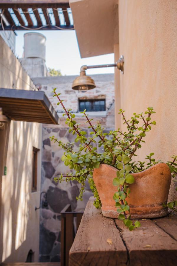 Hotel Casa 88 San Miguel de Allende Ngoại thất bức ảnh